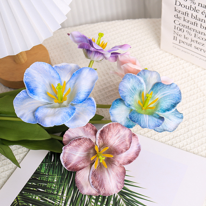 5pc 54cm flip tulipa gradiente - Photography Wedding avaliação e preço